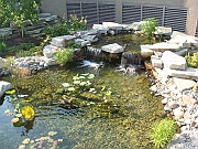 Western Michigan [2009] 197
